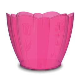 vaso